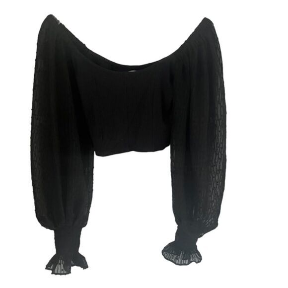 Urban Outfitters Gorgeous Black Top with Shear Gorgeous Detail Sleeves Small - Picture 4 of 16